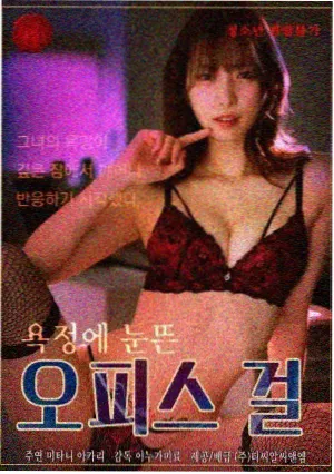 张凌赫电视剧推荐 2026必看